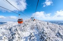 Qingdao Private Day Trip to Mutianyu Great Wall with Cable Car or Toboggan Ride