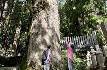 Koyasan Tour: Okunoin, Kongobuji & Garan with Certified Guide
