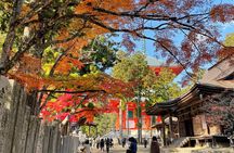 Koyasan Tour: Okunoin, Kongobuji & Garan with Certified Guide