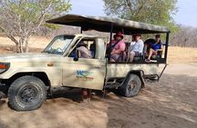 5-Day Victoria Falls, Hwange, and Chobe Safari Adventure