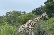 5-Day Victoria Falls, Hwange, and Chobe Safari Adventure