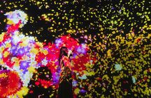 TeamLab Planets Art and Tsukiji Market Food Tour in Tokyo