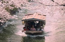 Kyoto Cherry Blossom Private Tour Boat Ride Experience