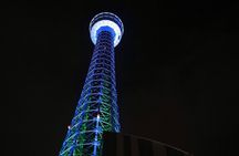 Yokohama Night Views: A Scenic Tour of Chinatown and the Harbor