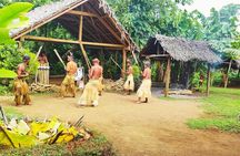 Efate Island Tour – Village, Turtles, Blue Lagoon & Eden River