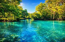 Efate Island Tour – Village, Turtles, Blue Lagoon & Eden River