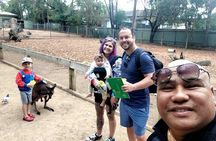 Blue Mountains Australia Adventure