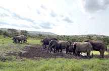 Private 1 Day Big Five Safari in Akagera From Kigali