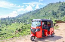 Stone Town City Tour by Tuk-Tuk or Bicycle –Old Town Experience