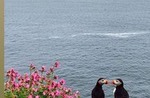 Orkney Island Discovery Tour with Experienced Local Guide