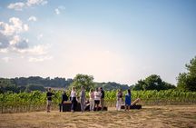 Henley Wine Tour: Explore 3 Boutique Vineyards with Lunch