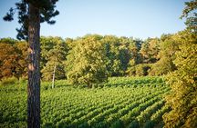 Henley Wine Tour: Explore 3 Boutique Vineyards with Lunch