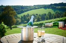 Henley Wine Tour: Explore 3 Boutique Vineyards with Lunch