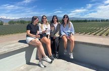 Chandon + 2 wineries + Olivicola
