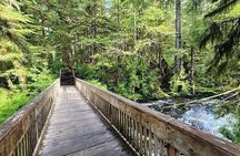 3 Hour Small Group Rainforest Eco Tour