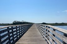 Segway Guided Eco Tour through Gulf State Park