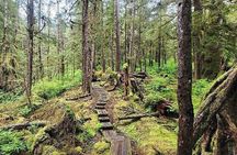 3 Hour Small Group Rainforest Eco Tour