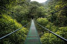 Sloth Watching, Hot Springs & Miravalles Volcano Adventure