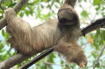 ATVS, Sloths and Monkeys, Beach Break Private Tour