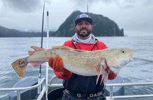 Full Day Halibut Bottom Fishing Charter - 10 Hours