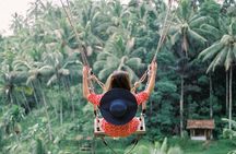 Private Ubud Day Tour: Monkey Forest, Rice Terrace & Holy Spring