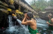 Private Ubud Day Tour: Monkey Forest, Rice Terrace & Holy Spring