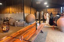 Organic Vineyard, Wine, Pisco, Cheese and Flame Farm Tour