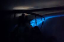 Bioluminescence Night Tour in Hopkins, Belize
