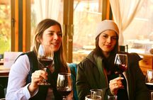 Organic Vineyard, Wine, Pisco, Cheese and Flame Farm Tour