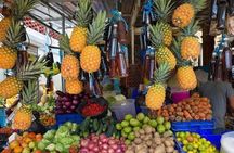 Half Day Dominican Republic Cultural Tour : Small Group