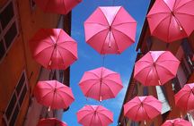 Nice Hilltop Villages PrivateTour Grasse Gourdon St-Paul DeVence