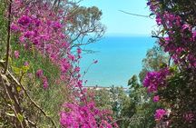 Tunis Carthage and Sidi Bousaid Guided Tour From Sousse