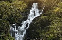 Private Ring of Kerry Tour with Skellig Ring & Kerry Cliffs