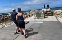 Cape Agulhas, Full-Day Private Tour & Wine Tasting from Cape Town