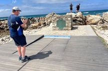 Cape Agulhas, Full-Day Private Tour & Wine Tasting from Cape Town