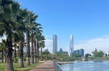 Santiago Private Walking Tour