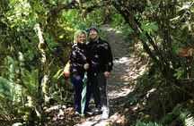 Private Twin Falls Hiking & Waterfall Tour with Treehouse Coffee