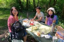 Private Twin Falls Hiking & Waterfall Tour with Treehouse Coffee