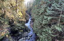 Private Twin Falls Hiking & Waterfall Tour with Treehouse Coffee