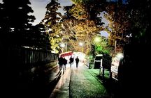 Narita: Sacred Hours—Dawn or Night at Naritasan