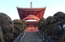 Narita: Sacred Hours—Dawn or Night at Naritasan