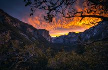 Yosemite and Kings Canyon National Park 2 Day Tour from LA