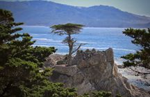 Monterey, Pebble Beach and Carmel Tour With Optional Aquarium