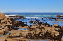 Monterey, Pebble Beach and Carmel Tour With Optional Aquarium