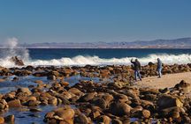 Monterey, Pebble Beach and Carmel Tour With Optional Aquarium