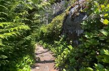 East Sooke Park Private Guided Coastal Hiking Adventure