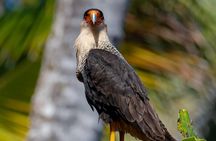 Uvita Siren Ranger Station Private Day Tour