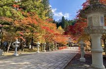 Mt Koya and Kishi Station 1 Day Bus Tour from Osaka