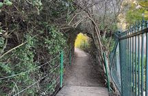 Guided Coastal Hike and Ecology Tour in Dana Point