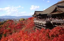 Kyoto Bus Tour: Fushimi, Kiyomizu, Kinkaku-ji & Arashiyama